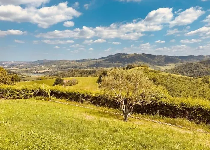 Pallegorie Appartement